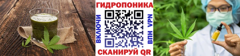 Купить закладки  Городовиковск  Canna-Cookies конопля 