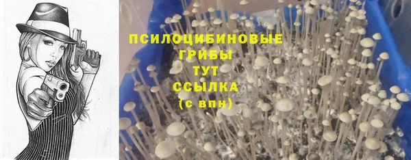 сатива Балабаново
