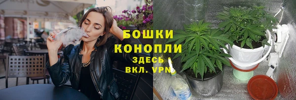 сатива Балабаново
